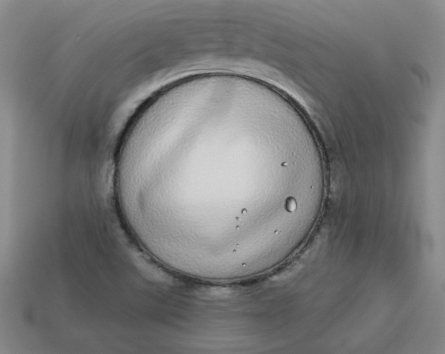 X0000113981507200910161610