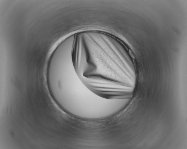 X0000113981508200910161610