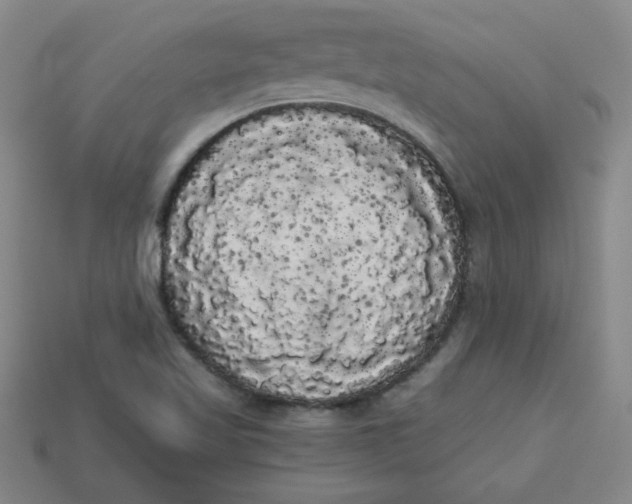 X0000113981509200910161610