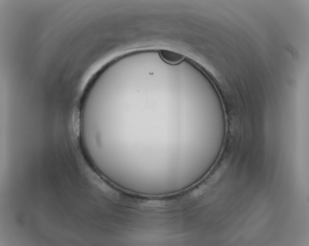 X0000113981510200910161610