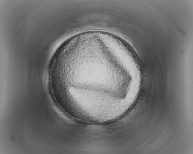 X0000113981511200910161610