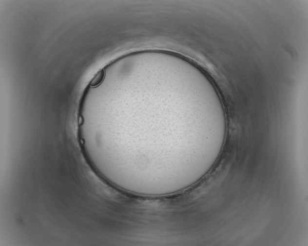 X0000113981512200910161610