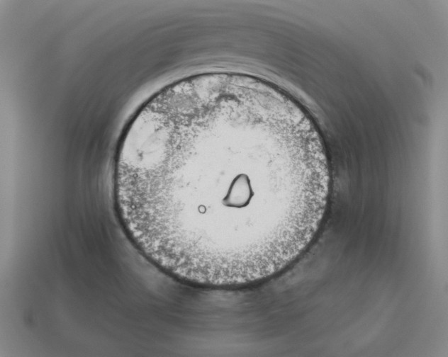 X0000113981514200910161610