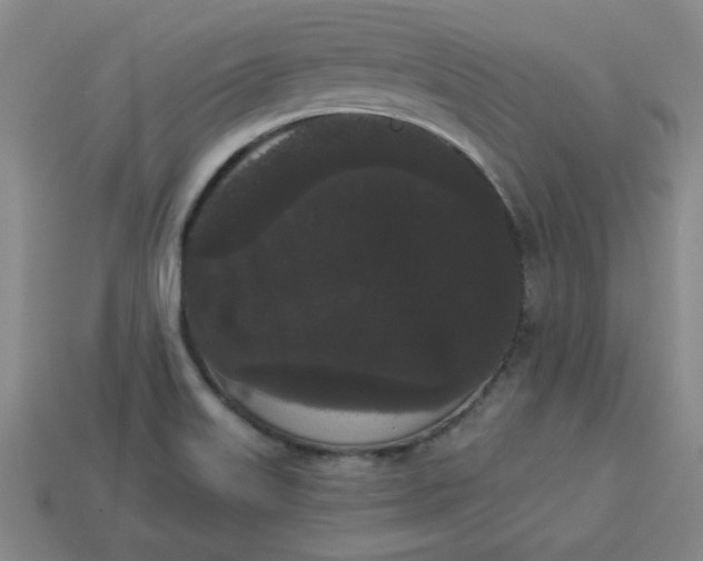 X0000113981515200910161610