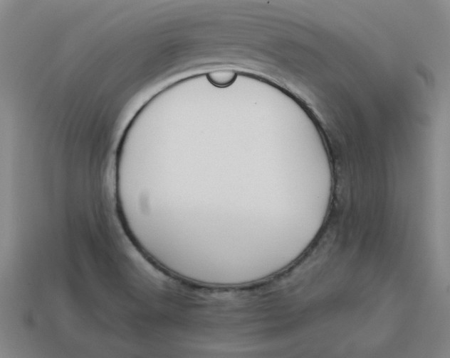 X0000113981516200910161610