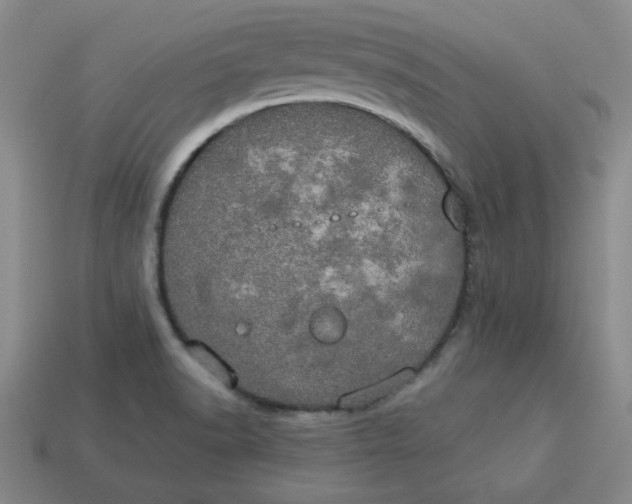 X0000113981518200910161610