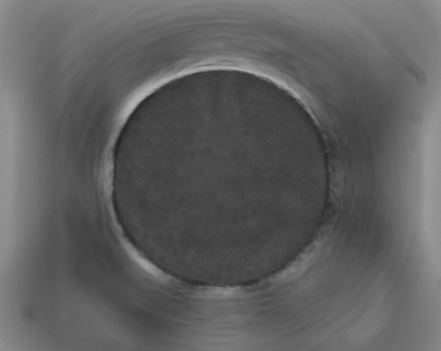 X0000113981519200910161610