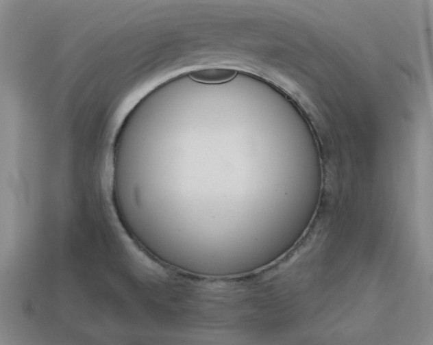 X0000113981520200910161610