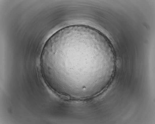 X0000113981521200910161610