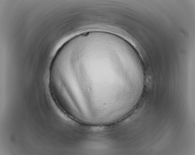 X0000113981523200910161610