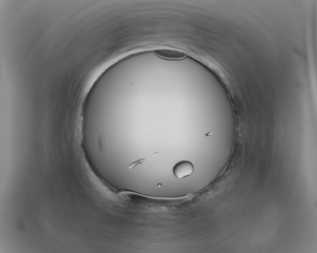 X0000113981524200910161610