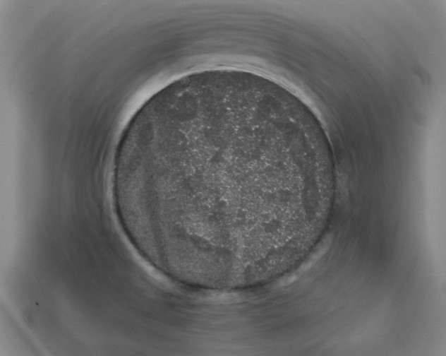 X0000113981525200910161610