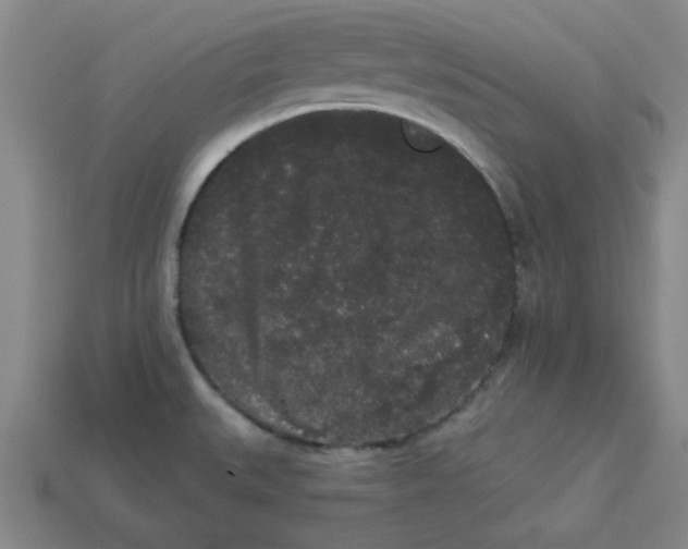 X0000113981527200910161610