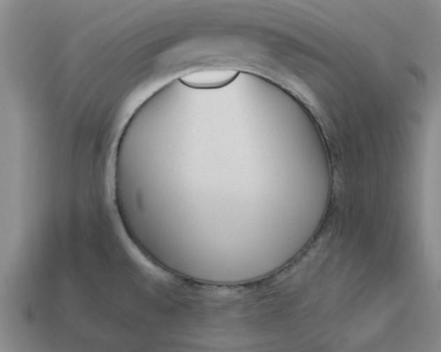 X0000113981528200910161610