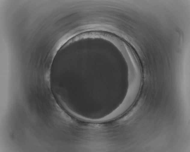 X0000113981529200910161611