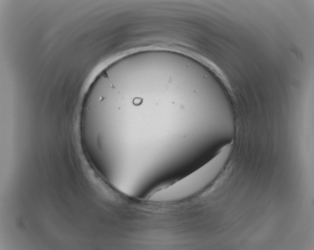 X0000113981530200910161611