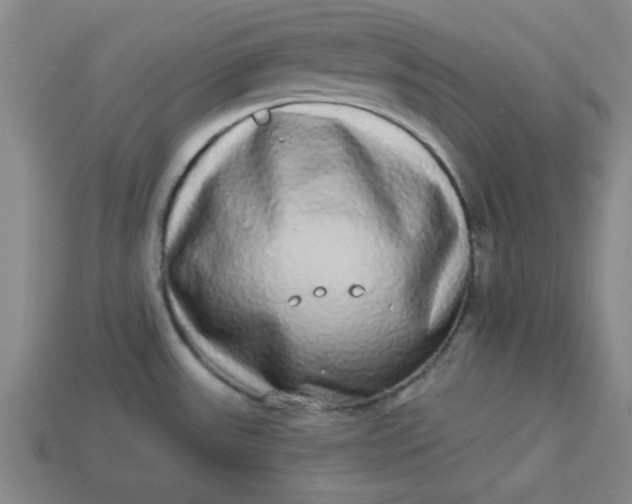 X0000113981531200910161611