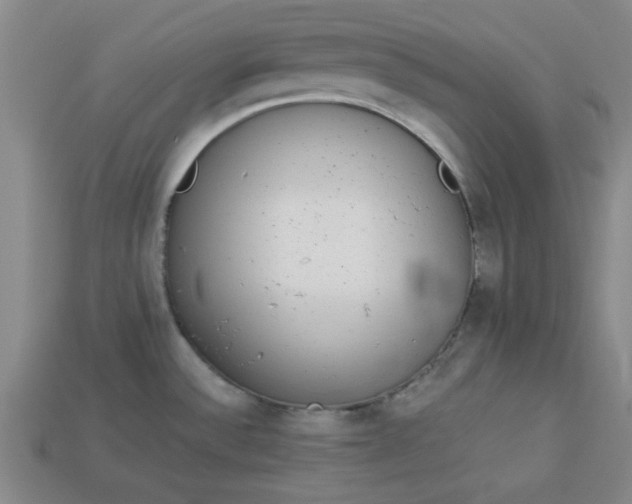 X0000113981532200910161611