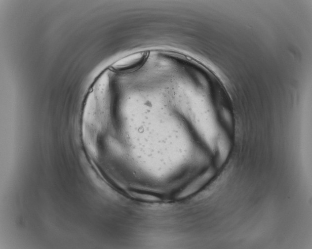 X0000113981534200910161611