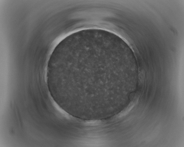 X0000113981535200910161611