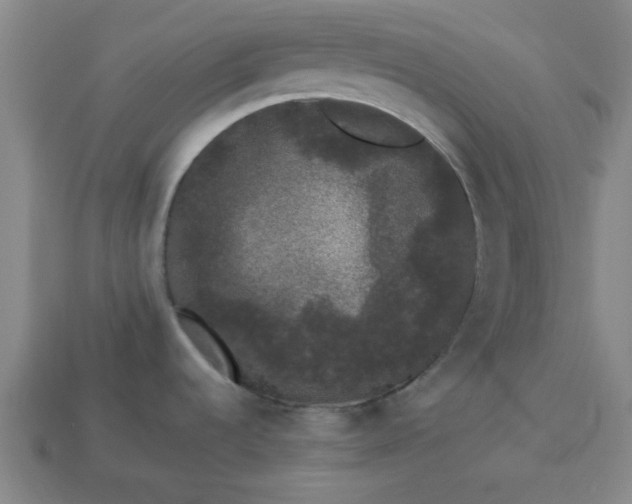 X0000113981536200910161611