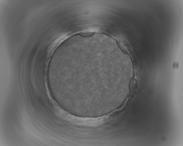 X0000113980001200910231718