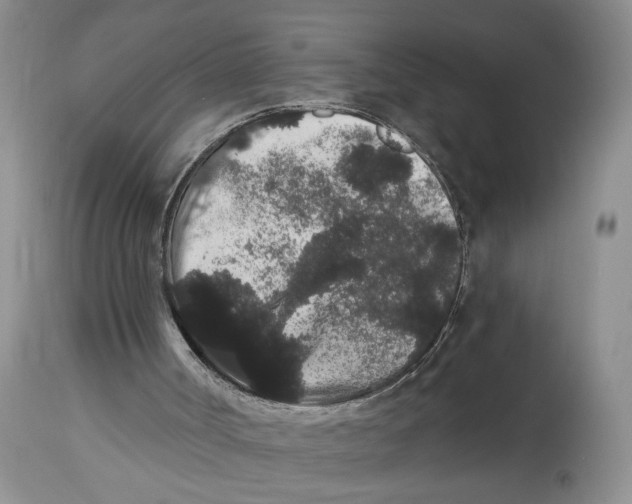 X0000113980002200910231718