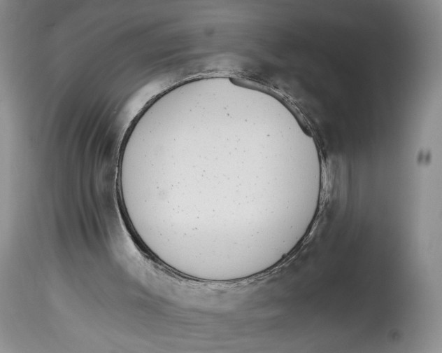 X0000113980003200910231718