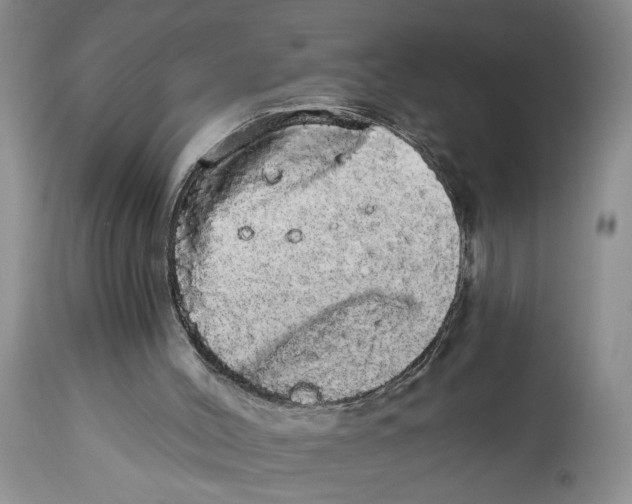 X0000113980004200910231718