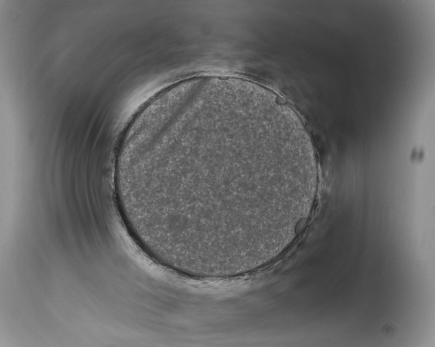 X0000113980005200910231718