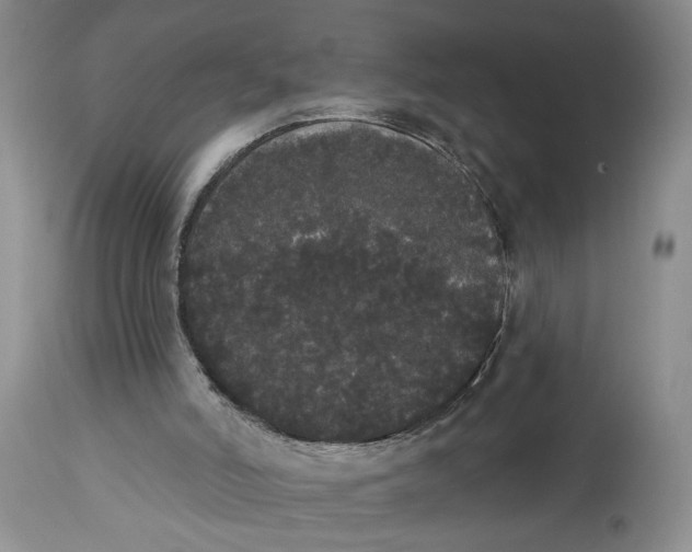 X0000113980006200910231718