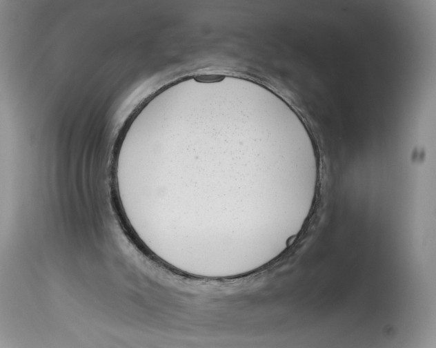 X0000113980007200910231718