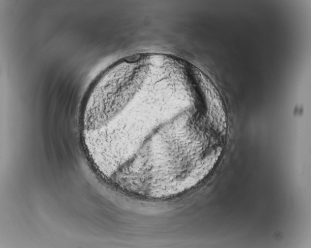 X0000113980008200910231718