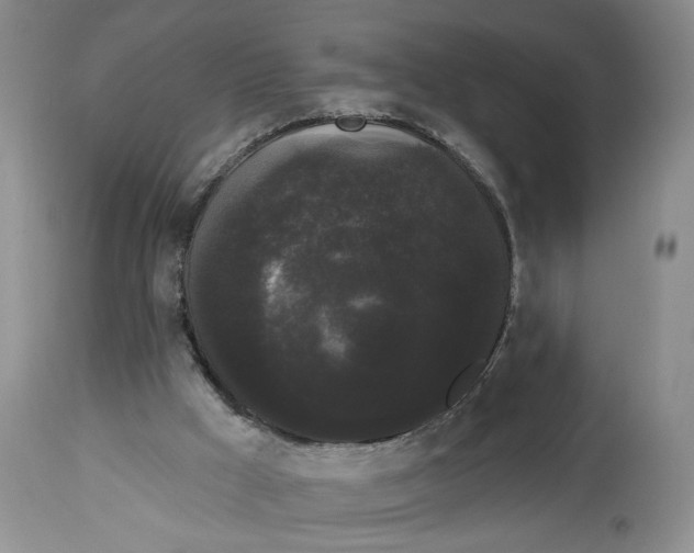X0000113980009200910231718