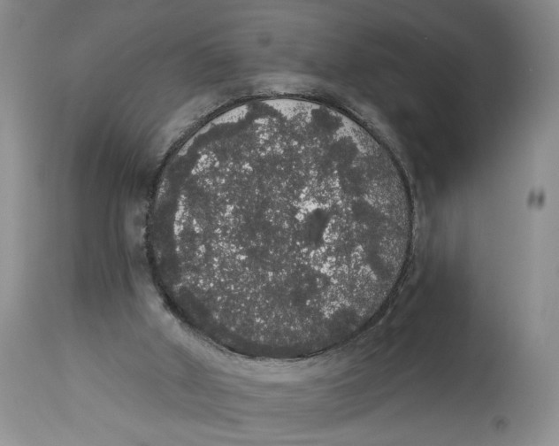 X0000113980010200910231718