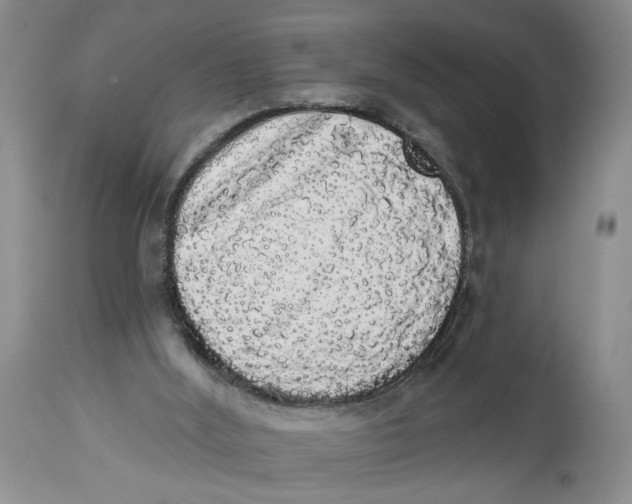 X0000113980012200910231718