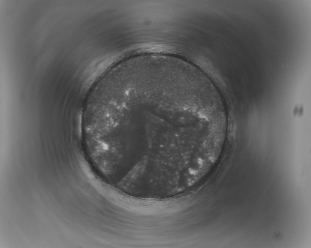 X0000113980014200910231718