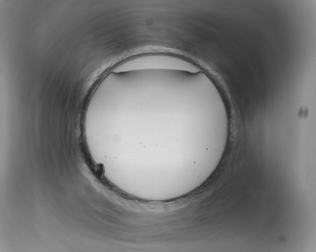X0000113980015200910231718