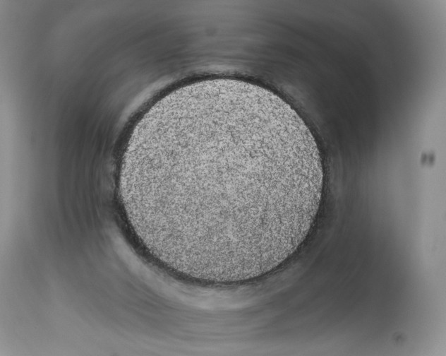X0000113980016200910231718