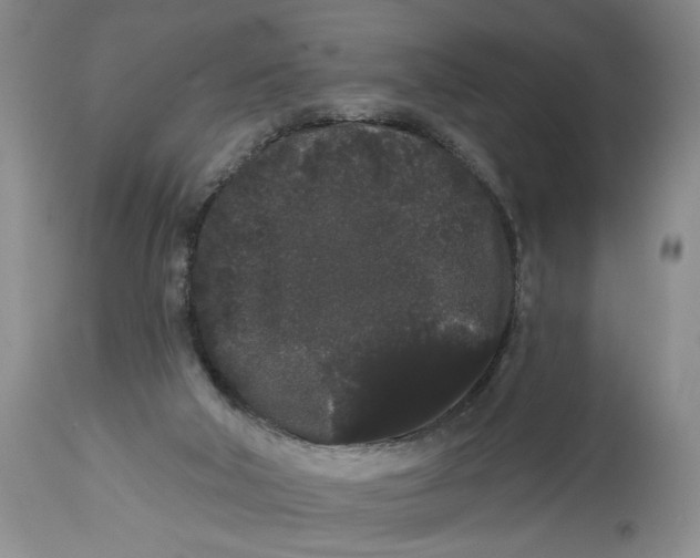X0000113980018200910231718