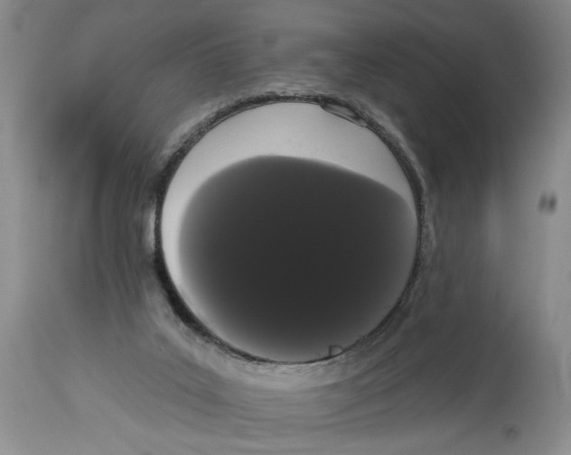 X0000113980019200910231718