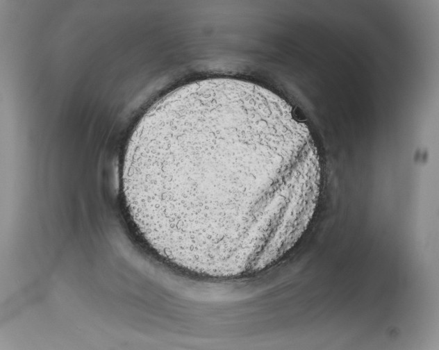 X0000113980020200910231718
