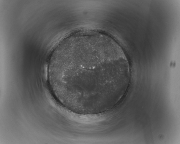 X0000113980022200910231718