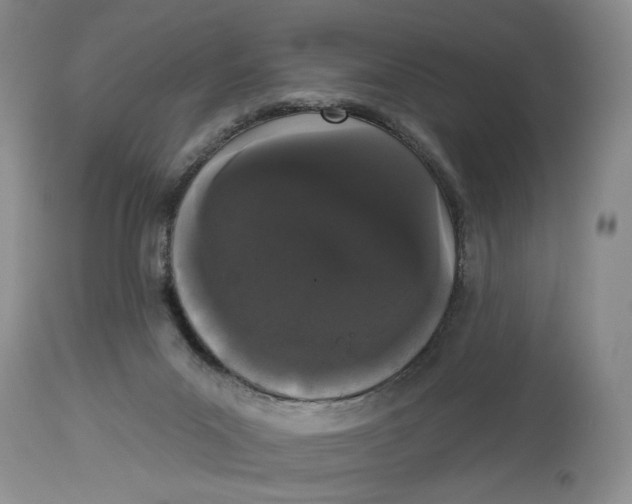 X0000113980023200910231718