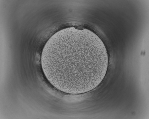 X0000113980025200910231718
