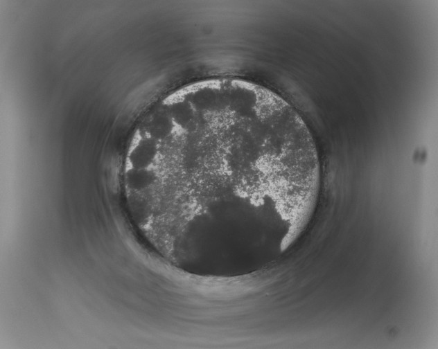 X0000113980026200910231718