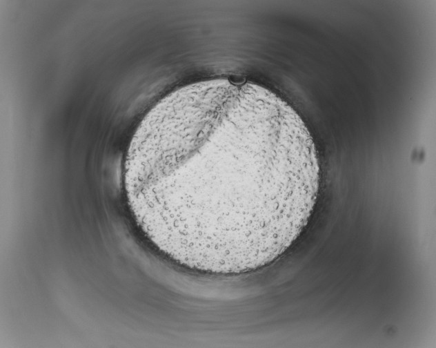 X0000113980028200910231718