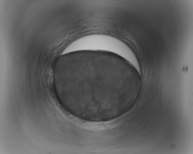 X0000113980029200910231718