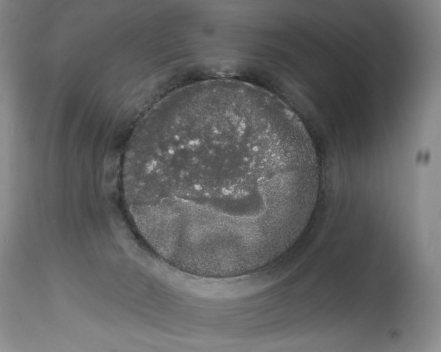 X0000113980030200910231718