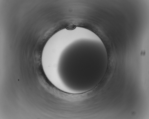 X0000113980031200910231718